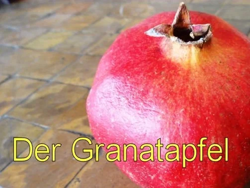 Kraeuter-Mager-Frischkaese in Brick auf Granatapfel-Fenchelsalat und Speck-Croutons - Rezept - Bild Nr. 5