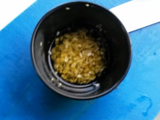 Rezept: Hot-Wurst-Salat Bild Nr. 6 Hot-Wurst-Salat - Rezept - Bild Nr. 6