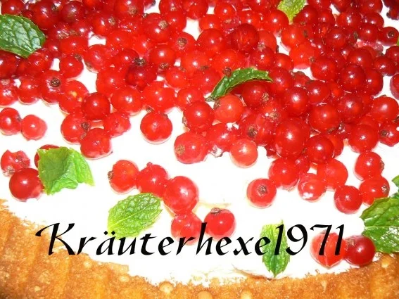 Rezept: schneller Johannesbeerkuchen Bild Nr. 2 schneller Johannesbeerkuchen - Rezept - Bild Nr. 2