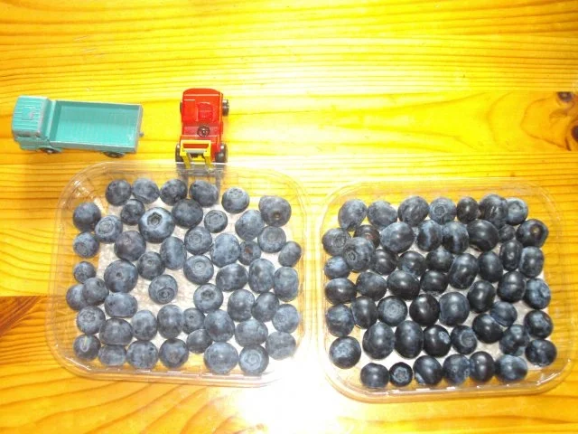 Getränk o.A.: Kirschen, Pfirsich und Heidelbeeren - Rezept - Bild Nr. 2