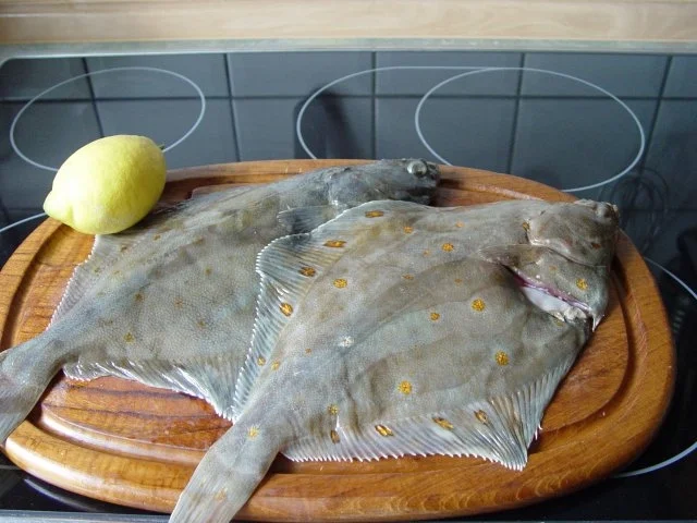 Finkenwerder Scholle - Rezept - Bild Nr. 3