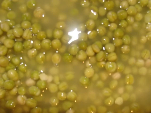 Rezept: Suppe : - Meine Erbsensuppe - Bild Nr. 4 Suppe : - Meine Erbsensuppe - - Rezept - Bild Nr. 4