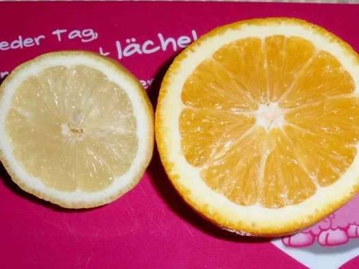 Schollenfilets mit Senf-Käse-Haube auf Zucchini-Tomaten-Gemüse - Rezept - Bild Nr. 4