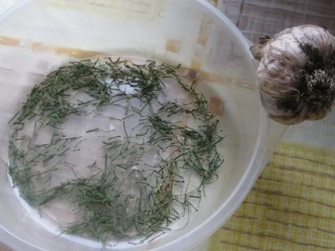 Lauchfäden im würzigem Knobi-Pulver - Rezept