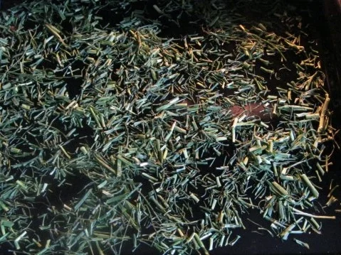 Lauchfäden im würzigem Knobi-Pulver - Rezept - Bild Nr. 6