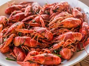 Fische - Flusskrebse  Grundzubereitung - Rezept - Bild Nr. 2