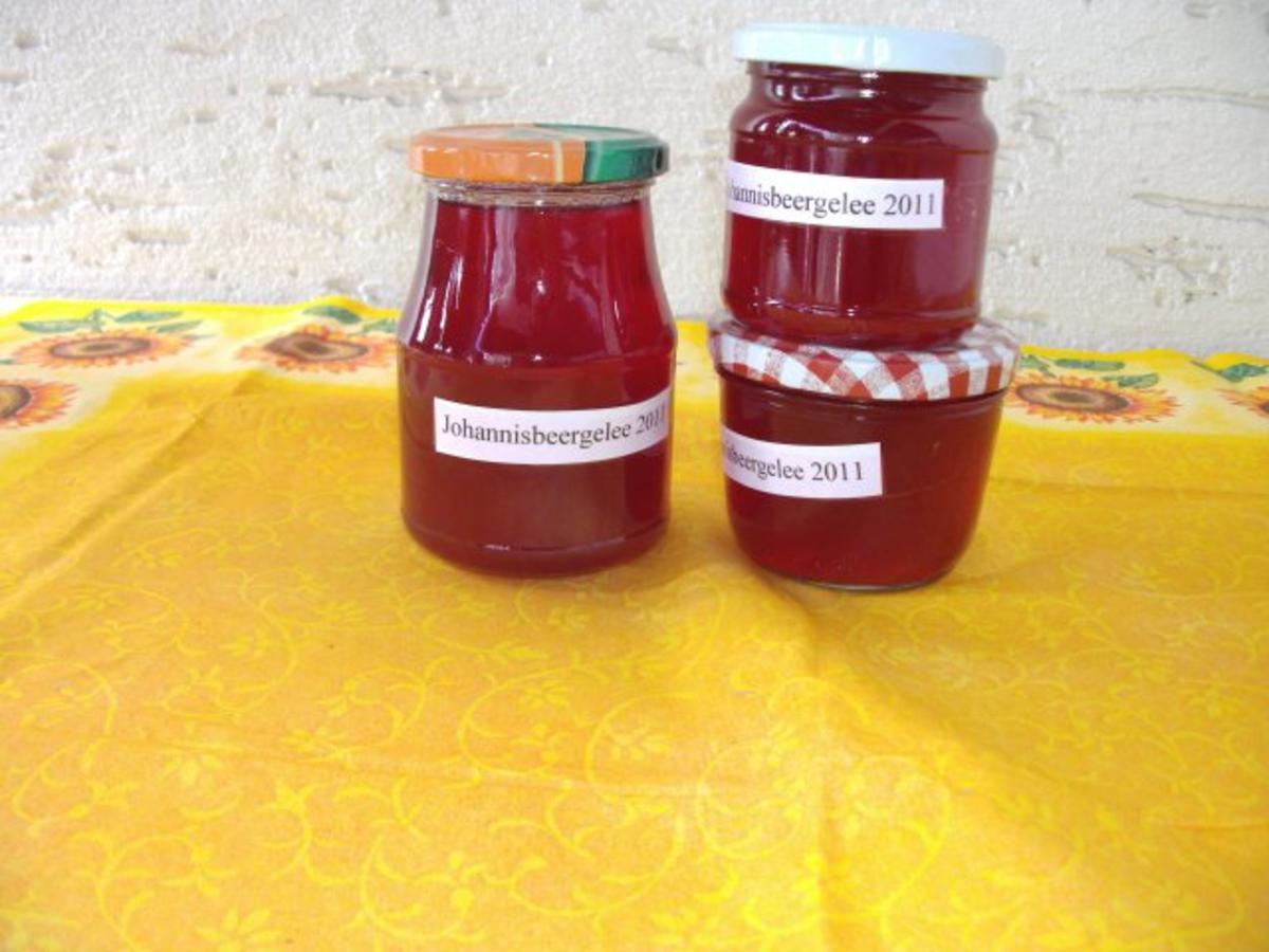 einmachen / Gelee: Johannisbeergelee mit Holunderblütensirup - Rezept