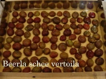 Rezept: Stachelbeerkuchen mit Streusel vom Blech Bild Nr. 6 Stachelbeerkuchen mit Streusel vom Blech - Rezept - Bild Nr. 6