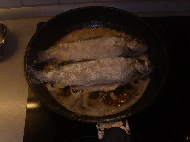 Rezept: Forelle gebraten Bild Nr. 4 Forelle gebraten - Rezept - Bild Nr. 4