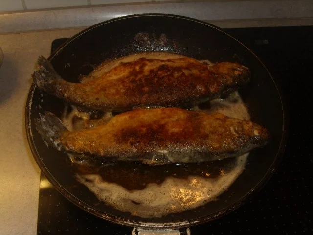 Rezept: Forelle gebraten Bild Nr. 5 Forelle gebraten - Rezept - Bild Nr. 5