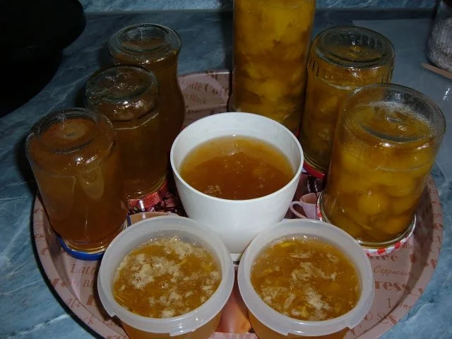 Mirabellenkompott ... und  Gelee - Rezept - Bild Nr. 3