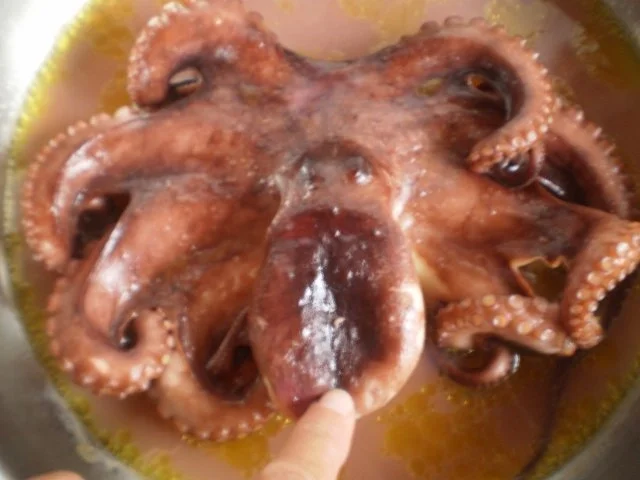 Pulpo gegrillt mit Pfifferlingsrisotto und Bohnen - Rezept - Bild Nr. 3