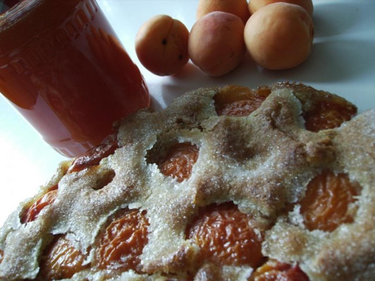 Bilder für Walliser Aprikosentarte Rezept