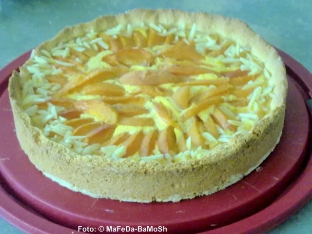 Aprikosen-Kuchen - Rezept - Bild Nr. 2