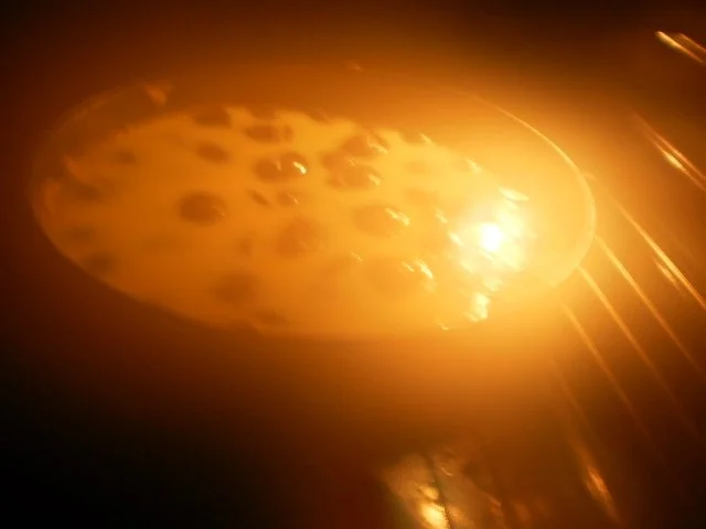 Pflaumenkuchen mit Vanillecreme - Rezept - Bild Nr. 6