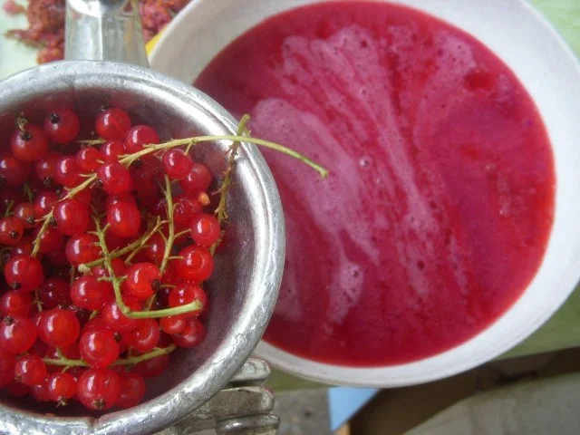 Rezept: JOHANNISBEERSCHNITTEN Bild Nr. 2 JOHANNISBEERSCHNITTEN - Rezept - Bild Nr. 2