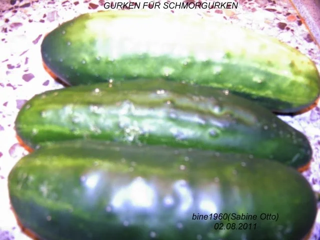 SCHMORGURKEN - Rezept - Bild Nr. 2