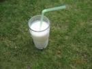 Joghurt - Melonen - Shake - Rezept
