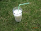 Joghurt - Melonen - Shake - Rezept