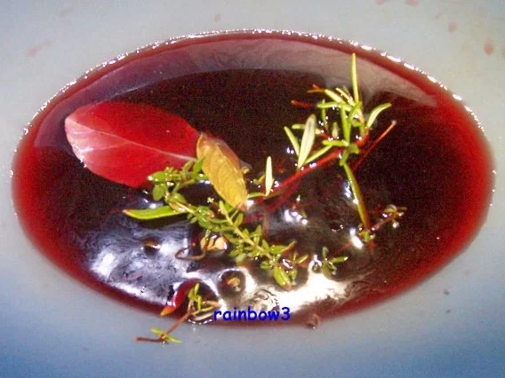 Kochen: Rinderschmorbraten mit Rotweinsauce - Rezept - Bild Nr. 2