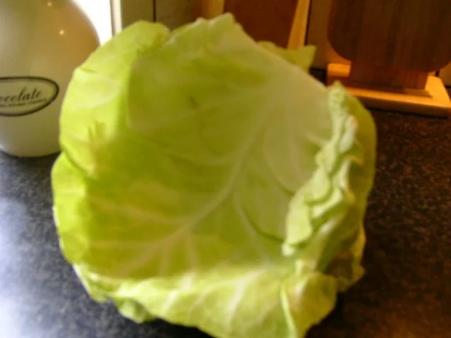 gefüllte Spitzkohlpäckchen - Rezept - Bild Nr. 2