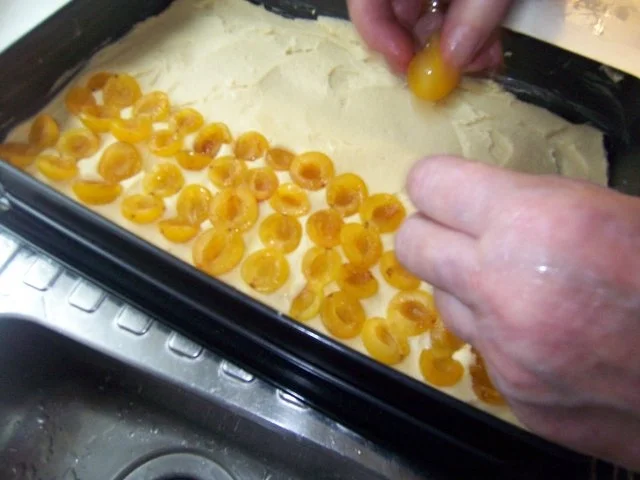 Mirabellenkuchen - Rezept - Bild Nr. 2