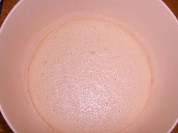 Germteig - Rezept - Bild Nr. 2