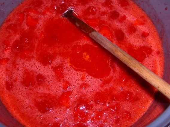 Rezept: Erdbeer-Kokos-Marmelade Bild Nr. 6 Erdbeer-Kokos-Marmelade - Rezept - Bild Nr. 6