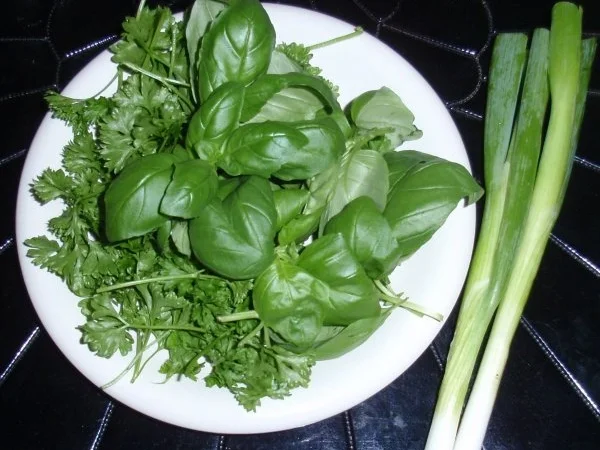 Zanderfilet im Kartoffel-Kräutermantel - Rezept - Bild Nr. 3