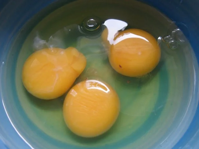 Tortellini-Auflauf „Rot-Weiß” - Rezept - Bild Nr. 8