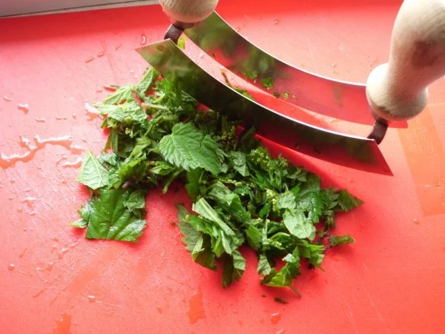 Brennesseln - Rezept - Bild Nr. 6