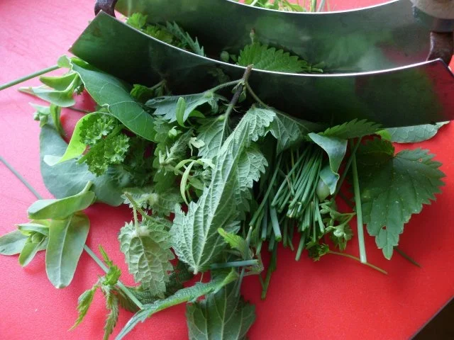 Rezept: Wachteleier vom Grill Bild Nr. 5 Wachteleier vom Grill - Rezept - Bild Nr. 5