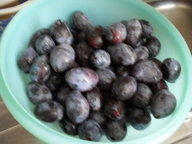 Rezept: Zwetschgenkuchen Bild Nr. 2 Zwetschgenkuchen - Rezept - Bild Nr. 2