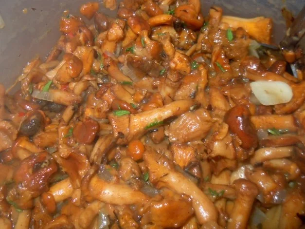 Tortelloni mit Pfifferlingsfüllung und Salbeibutter - Rezept - Bild Nr. 3