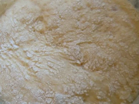 Rezept: Pflaumenkuchen mit Marzipanguss Bild Nr. 2 Pflaumenkuchen mit Marzipanguss - Rezept - Bild Nr. 2