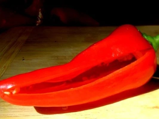 Rezept: Gegrillte gefüllte Spitzpaprika Bild Nr. 2 Gegrillte gefüllte Spitzpaprika - Rezept - Bild Nr. 2