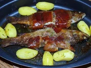 Speckforellen - Rezept