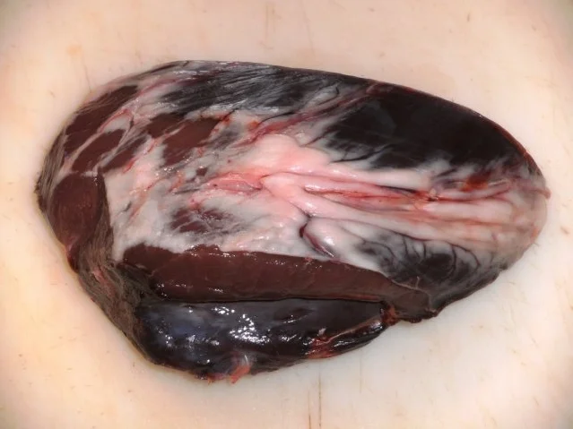 Fleisch: Rinderherz geschmort mit frischen Mischpilzen - Rezept - Bild Nr. 2