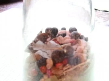 Gewürzmühle Wild - Rezept