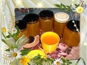 Brotaufstrich : Mirabellen.- Gelee.......mit Amaretto - Rezept