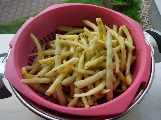 Rezept: Wachsbohnen Bild Nr. 4 Wachsbohnen - Rezept - Bild Nr. 4