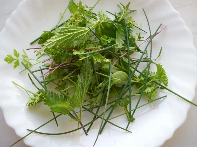 Rezept: Wachsbohneneintopf Bild Nr. 9 Wachsbohneneintopf - Rezept - Bild Nr. 9