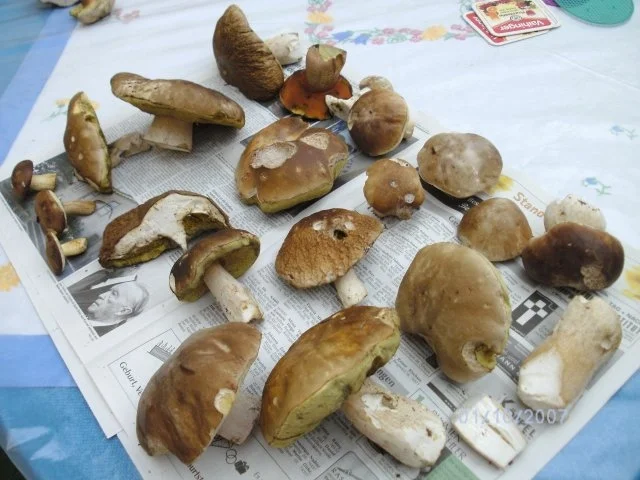 Steinpilz-Flammkuchen - Rezept - Bild Nr. 2