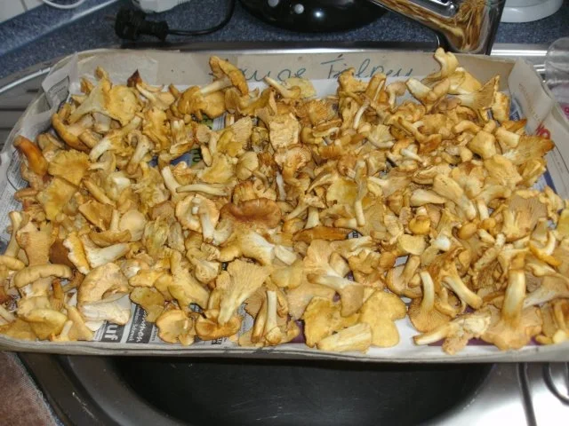 Steinpilz-Flammkuchen - Rezept - Bild Nr. 7