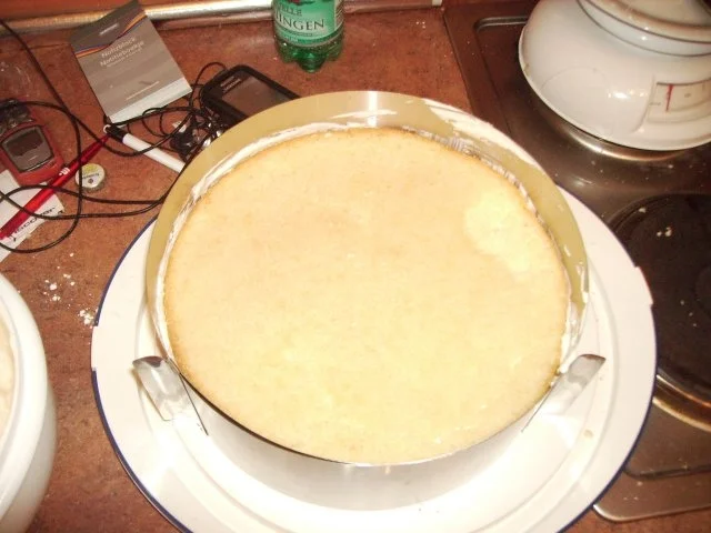 Erdbeer-Sahnetorte - Rezept - Bild Nr. 6