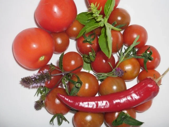 Rezept: Tomatenmarmelade Bild Nr. 6 Tomatenmarmelade - Rezept - Bild Nr. 6