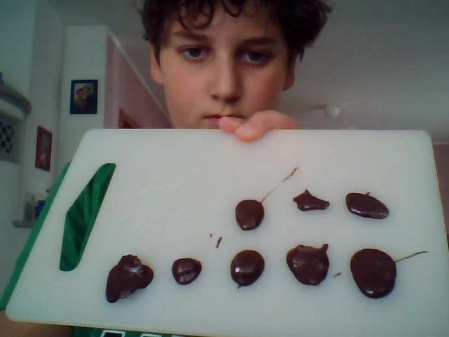 Rezept: Schoko-Crossies Schoko-Crossies - Rezept