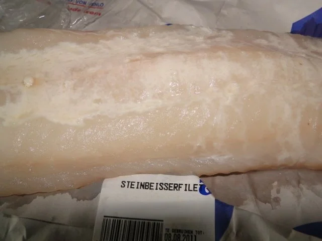 Steinbeißerfilet auf dicke Bohnenbettchen - Rezept - Bild Nr. 3