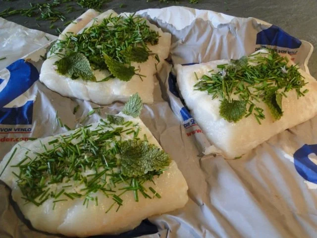 Steinbeißerfilet auf dicke Bohnenbettchen - Rezept - Bild Nr. 5