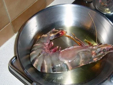 Gamba grande mit Spagetti Olio con Aglio - Rezept - Bild Nr. 2